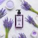 Antibacterial Hand Soap with Pump Lavender Scent Liquid Hand Soap 17 Fl Oz (Pack of 1) Lavender 17 Fl Oz (Pack of 1) - Buy Online on GoSupps.com