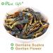 Buy Gentiana Scabra Bunge | | Gentian Flower | Jade Beauty Tea for Health | 20g | International Shipping - Buy Online on GoSupps.com