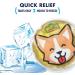 Fit & Fresh Cool Coolers Children's Boo Boo Gel Ice Pack 3 Pack - Cats & Dogs Assorted - Reusable Cold Compress for Minor Injuries - Buy Online on GoSupps.com