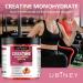 Buy Creatine Monohydrate Gummies with Vitamin B12 - Sugar & Gluten Free Vegan Strawberry Flavor 5000mg for Enhanced Performance & Recovery - 120 Count - Buy Online on GoSupps.com
