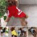 Fashion Dog Hoodie | Pure Cotton Sweatshirt for Small & Medium Dogs | Stylish Streetwear Outfit in Black/Red - Buy Online on GoSupps.com