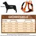Eyin Adjustable Dog Harness for Small Dogs | Breathable Reflective Padded with Handle | Ideal for Daily Training (Orange Size S) - Buy Online on GoSupps.com