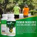 REGEMAX Joint Support Supplement - Snail Protein Boswellia Serrata & Turmeric | Alleviate Discomfort - 60 Caps - Buy Online on GoSupps.com