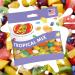 Jelly Belly Tropical Mix Gourmet Jelly Beans 3-Pack Bundle - Christmas & Holidays Candy - Vegan Candy Dairy Free Snacks Kosher Candy Gluten Free Bulk Candy Stocking Stuffers for Teens - Buy Online on GoSupps.com