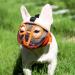 Jyhy Adjustable Muzzle for Flat-Nosed Dogs & Cats | Breathable Design for Bulldogs Pugs & More - Orange (28-43cm) - Buy Online on GoSupps.com