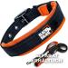 Black Rhino Comfort Collar | Neoprene Padded Dog Collar for All Breeds | Adjustable Reflective Weatherproof - Medium Orange/Black - Buy Online on GoSupps.com