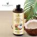 Handcraft Blends Huile de noix de coco fractionn e bio - 236 ml - 100 % pure et naturelle - Huile de support de qualit sup rieure pour le corps et les cheveux - Buy Online on GoSupps.com