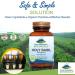 Pure Mountain Botanicals Holy Basil Capsules - Kosher Vegan Caps with 450mg Organic Holy Basil Tulsi & Holy Basil Extract from India - Buy Online on GoSupps.com