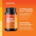 Ashwagandha Supplement 2000MG for Energy Memory Enhancement & Sleep Aid | with Artichoke & Ashwagandha Root for Antioxidants | Support Calm Mood Relaxation & Normal Sleep Cycles | Non-GMO 120ct 120 count - Buy Online on GoSupps.com