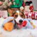 All For Paws Little Buddy Heart Beat Sheep Toy - Separation Anxiety Relief for Pets - Buy Online on GoSupps.com