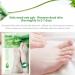 4 Pairs Natural Aloe Vera Gel Foot Mask Exfoliating Foot Peel Mask Aloe Vera Peeling Foot Mask Aloe Moisturizing Feet Peeling Mask Foot Peel Mask for Hard Skin Effective Exfoliating Feet Peeling Socks - Buy Online on GoSupps.com