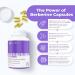 New Berberine MAXIMUM POTENCY 1000mg per Serving (2 capsules 500mg each) Supports Blood Sugar Levels Healthy Lipid (Fat) and Glucose Metabolism. Non-GMO Vegan Gluten Free. 90 Easy to Swallow Capsules. 90 count (Pack of 1) - Buy Online on GoSupps.com