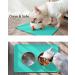 Buy Taglory Waterproof Non-Slip Silicone Pet Feeding Mat - 47x30cm Turquoise for Dogs & Cats - Buy Online on GoSupps.com