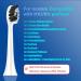 Buy Sonicare Replacement Heads for Philips Electric Toothbrush - Compatible with C2 & KD-G2 | Fast International Shipping - Buy Online on GoSupps.com