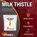 BulkSupplements Milk Thistle Extract Powder - Liver & Kidney Support - Silymarin Detox Supplement - 100g/3.5oz - for Dogs - Pack of 1 - Buy Online on GoSupps.com