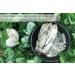 Clear Quartz Crystal Points - Natural Healing Stones for Meditation and Chakra Balancing (0.39 - 1.18 inches) - Buy Online on GoSupps.com