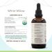 White Willow B120 Organic Tincture | Alcohol-Free Herbal Drops | High-Potency Salix alba Extract (4 oz) - USDA Certified Organic - Buy Online on GoSupps.com