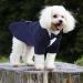 Cit toile Dog Wedding Suit Set | Tuxedo Shirt for Small Medium & Large Dogs | Stylish Party Clothing in Blue | Perfect for Weddings Birthdays & Halloween - Buy Online on GoSupps.com