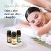 Top 6 Essential Oils Set for Aromatherapy - Eucalyptus Lavender Orange Peppermint Tea Tree (10ml) - Ideal for Diffusers Humidifiers Candle Making - Perfect Home Gift - Buy Online on GoSupps.com