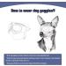 Namsan Dog Sunglasses - Stylish Eye Protection for Small/Medium Dogs | Adjustable Fashionable Dog Glasses with Blue Lenses - Buy Online on GoSupps.com