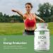 Tapestry Brands Iron 65mg USP 325mg Ferrous Sulfate Tablets - 3-Month Supply (90 Count) for Energy Production and Oxygen Transportation - Buy Online on GoSupps.com