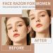 Buy Dermaplaning Razor for Face - Professional Tool with 4 Blades for Hair Removal & Exfoliation | Silver Facial Shaver & Eyebrow Shaper for Women - Buy Online on GoSupps.com