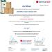 Gr nwell Naturoase Original Aleppo Soap | 95% Olive Oil & 5% Laurel Oil | Natural Face & Body Care | 600g Olive Oil Shampoo Bar - Buy Online on GoSupps.com