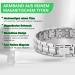 Jeroot Magnet Hard Band - Pure Titan-Power Men's Magnetic Bracelet for Health - Adjustable 3500 Gauss Silver Closure Bracelet - Buy Online on GoSupps.com