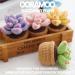 4Pcs Succulents Crochet Kit for Beginners - Complete Adult Crocheting Starter Set with Video Tutorials - Buy Online on GoSupps.com