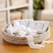 Buy Curity Stretch Bandages Sterile - 1" x 75" 12 Each - International Shipping Available - Buy Online on GoSupps.com
