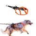 Non-stop dogwear Freemotion Harness 5.0 | Dog harness for all sports size: size 4 black/orange 4