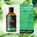 MAYJAM Fennel Essential Oil 100ML | Premium Fennel Oil for Diffuser & Humidifier | Aromatherapy for Home & Wardrobes - Buy Online on GoSupps.com