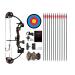 PANDARUS Compound Bow Archery for Youth and Beginner, Right/Left Handed,19-28 Draw Length,15-29 Lbs Draw Weight, 260 fps, Package with Archery Hunting Equipment Black Right handed
