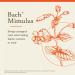 Bach Original Flower Remedies Mimulus - Face Your Fears - Natural Homeopathic Flower Essence for Emotional Balance - Vegan Gluten Free Sugar Free - 20mL Dropper - Buy Online on GoSupps.com