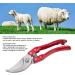 Goat Hoof Trimmers Shears Nail Clippers for Sheep Pig Trotter Shears Pliers with Stronger Spring Load Animal Toe Nails Trimming Repairing Tool Hoof Trimmming Shears Animal Toe Nails Scissors(Red) - Buy Online on GoSupps.com