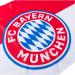 FC Bayern Munich Fahn Logo 90x60 cm - Official Merchandise | Fast International Shipping - Buy Online on GoSupps.com