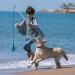 Zttark Flirt Pole for Dogs Outdoor Funny Interactive Dog Toys Extendable Teaser Wand Pet Flirt Stick Outdoor Interactive Toy for Small Medium Large Dogs Training Pulling Playing Exercise - Buy Online on GoSupps.com