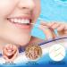 Brushpicks Interdental Toothpicks - Soft Bristle Dental Floss Picks for Plaque Removal | 300PCS | International Shipping Available - Buy Online on GoSupps.com