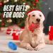 Ruxan Interactive Dog Toys for Aggressive Chewers - Treat Dispensing Natural Rubber Toys with Beef Flavor for All Sizes - Durable Red Design - Buy Online on GoSupps.com