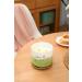 Buy Green Apple Peach Blossom 3 Wick Scented Candle | Aromatherapy Stress Relief | Natural Soy Candle for Home | 15.8 oz Large Size - Buy Online on GoSupps.com