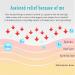 Terahertz Wave Physiotherapy Instrument | Cell Heating Therapy for Enhanced Absorption & Self-Repair - Buy Online on GoSupps.com