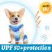 Dog Cooling Vest Breathable Mesh Pet Cooling Jacket Blue Print Vest Elastic Summer Sun-Proof Ice Vest Cool Down Vest for Cat and Small Dogs Outdoor Activities Blue XX-Large - Buy Online on GoSupps.com