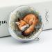 Decorative Round Pill Box - Sleeping Fox Print | 3 Compartment Portable Metal Pill Organizer | Stylish Pocket Pill Case for Travel - Buy Online on GoSupps.com