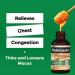 Robitussin Maximum Strength Honey Cough + Chest Congestion DM - 4 Fl Oz Bottle (Pack of 1) - Buy Online on GoSupps.com