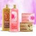 Caress Women's Body Wash Daily Silk 18 oz 4 Pack - White Peach & Orange Blossom - 18 Ounce - Buy Online on GoSupps.com