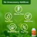 Vital Plan Joint Care Supplement | Shellfish-Free Clinical-Grade | Acumin Turmeric, Boswellia, Bromelain & Hyaluronic Acid | 180 Capsules - Buy Online on GoSupps.com