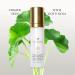 SUND RI Gotu Kola & Geranium Moisturizer | Revitalize & Hydrate | Shop Internationally - Buy Online on GoSupps.com