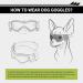 Namsan Anti-UV Dog Glasses & Pet Helmet - Windproof Eye Protection Sunglasses for Small/Medium Dogs - Cool Motorcycle Helmet Black - Buy Online on GoSupps.com