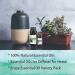 HERBROMAS Essential Oil Set - Top 16 Aromatherapy Oils for Candle & Soap Making, Diffusers, Humidifiers - Buy Online on GoSupps.com