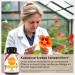 Urovigo Women's Capsules - Nutritional Support for Bladder Health with Vitamin A Zinc & 8 Plant Complex - Immune & Skin Boosting Formula - No D-Mannose - Buy Online on GoSupps.com